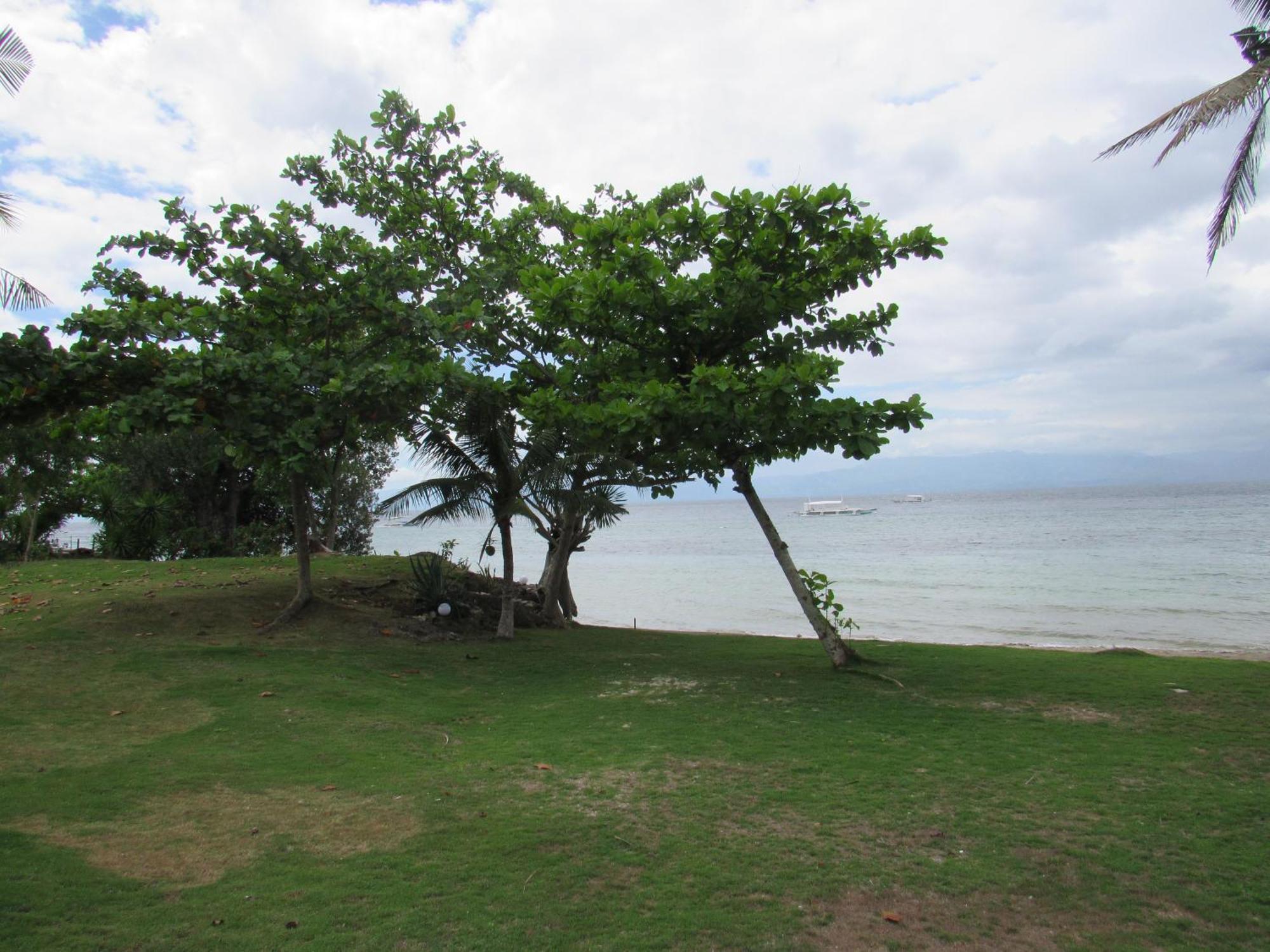 Dacozy Beach Resort Moalboal Exterior foto